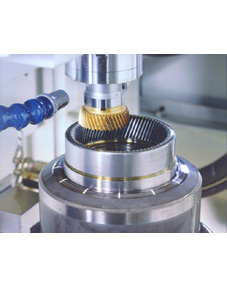 Seifried-Zahnrder Wlzstomaschine